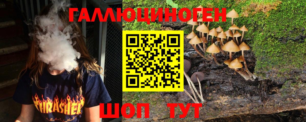 Галлюциногенные грибы прущие грибы Жигулёвск
