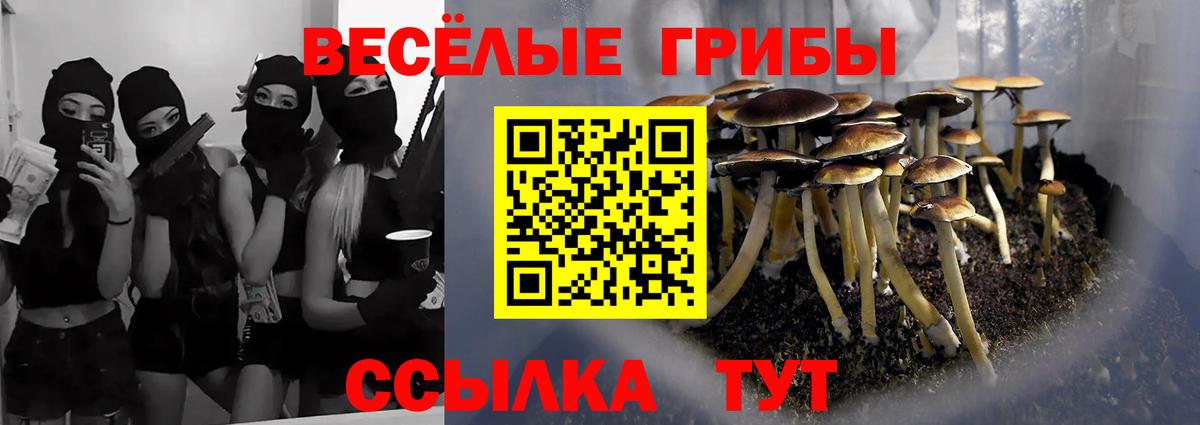 закладки  Вход с VPN  Псилоцибиновые грибы ЛСД  Жигулёвск  Псилоцибиновые грибы Magic Shrooms 